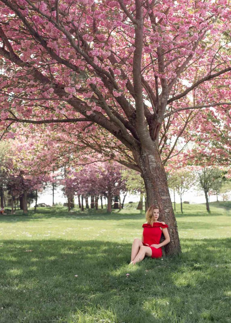 femme sous arbre en fleur rose